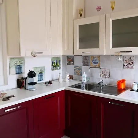 Il Tango Del Gatto *